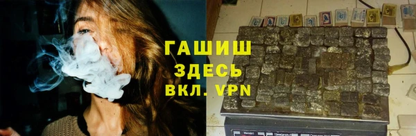 прущие грибы Алзамай