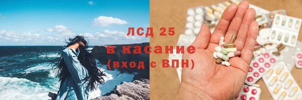 прущие грибы Алзамай