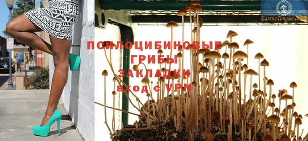 прущие грибы Алзамай