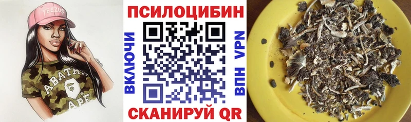 Псилоцибиновые грибы прущие грибы Полярные Зори